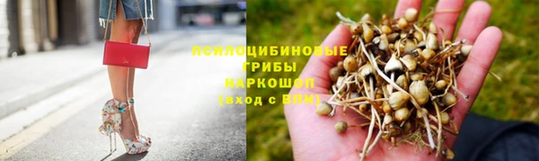 2c-b Кодинск
